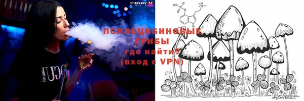 шишки Алзамай