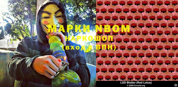 PSILOCYBIN Семёнов